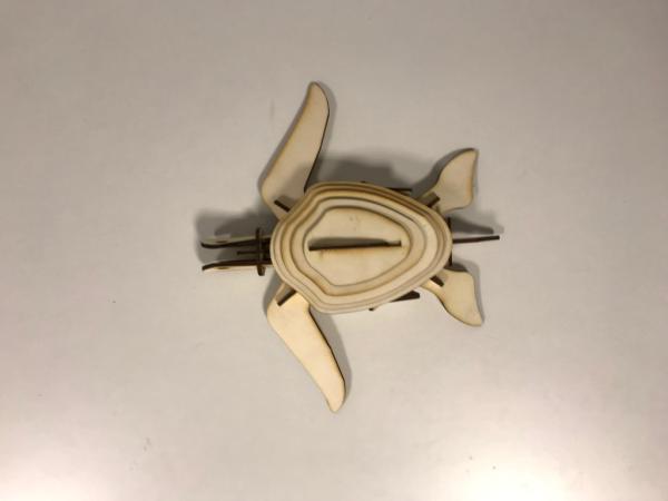 Meeresschildkröte als 3D Modell / Puzzle - Draufsicht
